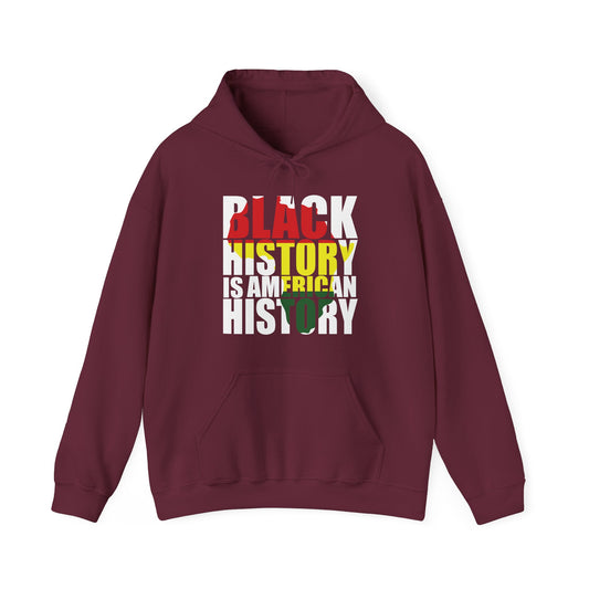 Black History is American History Melanin Black Pride Gifts Hoodie