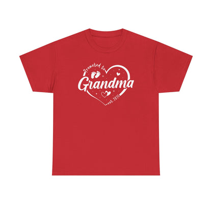 Promoted to Grandma Est 2025 Soon to be Grandma Mothers Day T-Shirt