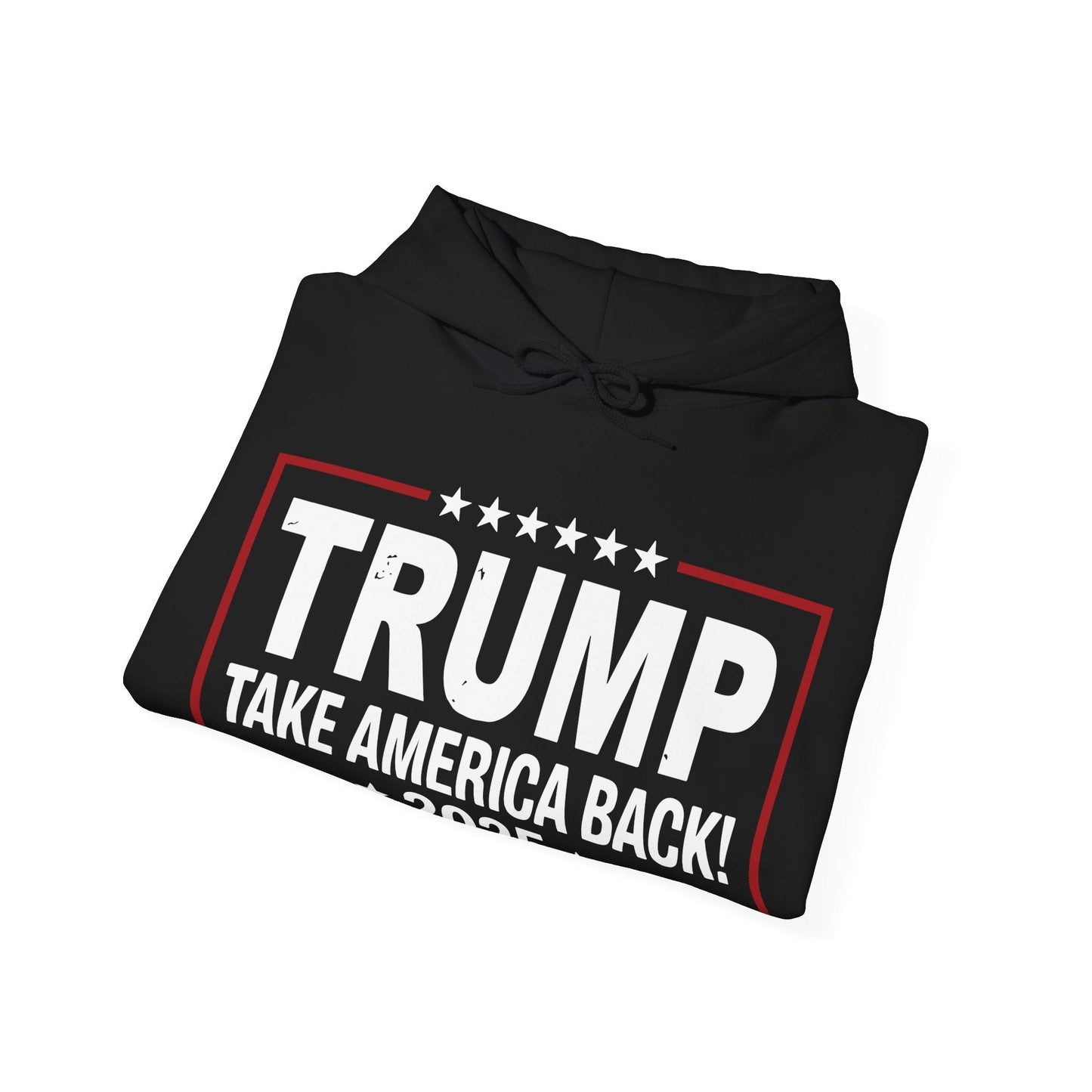 Donald Trump 2025 Take America Back Election Hoodie
