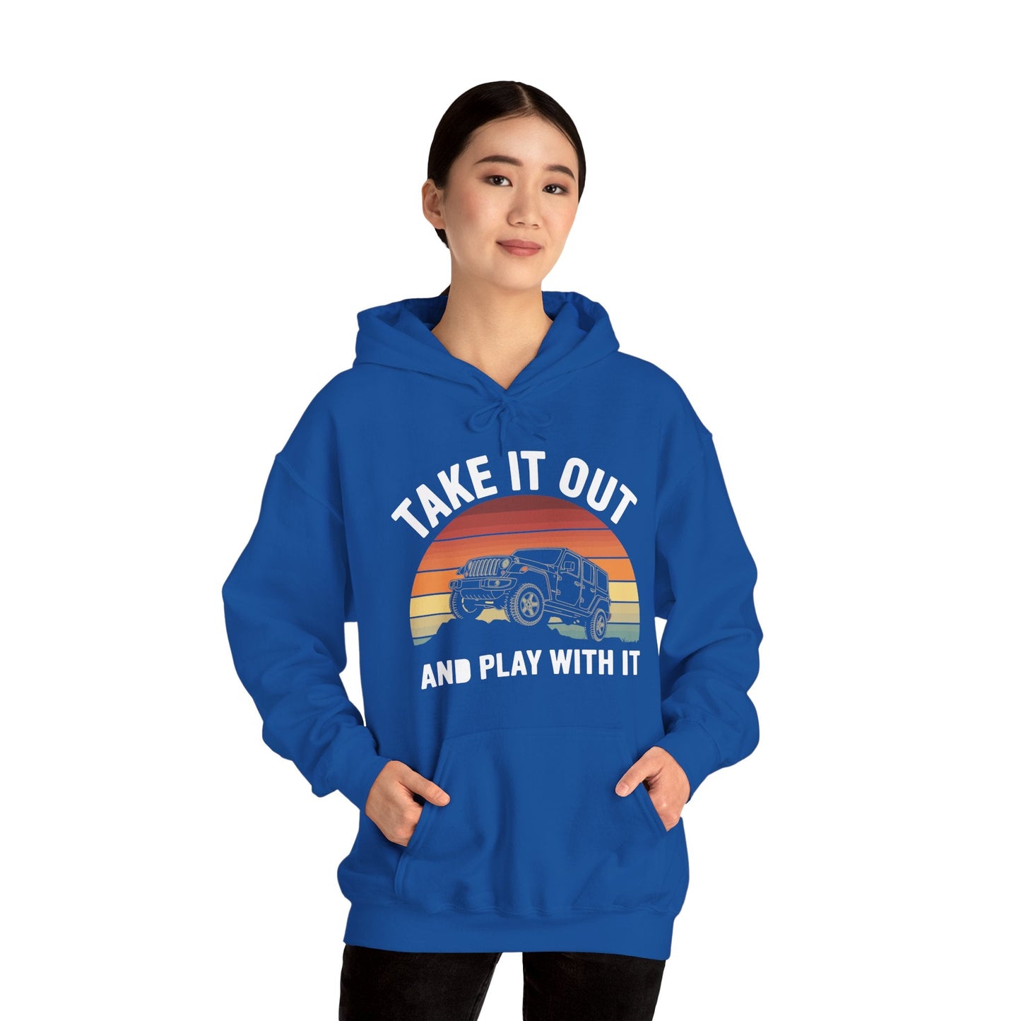 Catch Some Rays Vintage Retro Take It Out And Play Hoodie