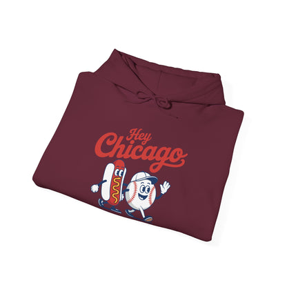 Hey Chicago Whadya Say Baseball and Hot Dog 4th of July Men Women Hoodie