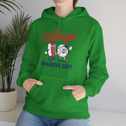Hey Chicago Whadya Say Baseball and Hot Dog 4th of July Men Women Hoodie