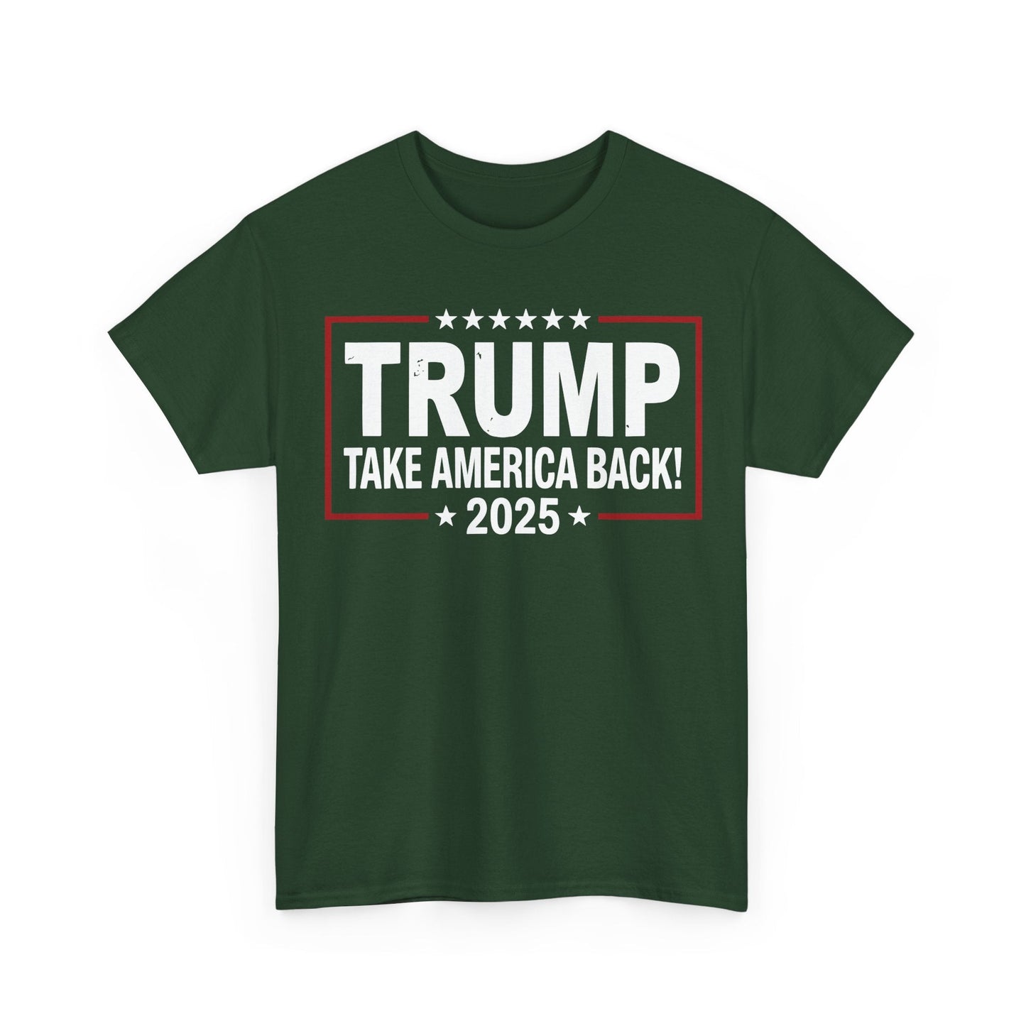 Donald Trump 2025 Take America Back Election T-Shirt