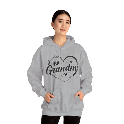 Promoted to Grandma Est 2025 Soon to be Grandma Mothers Day Hoodie