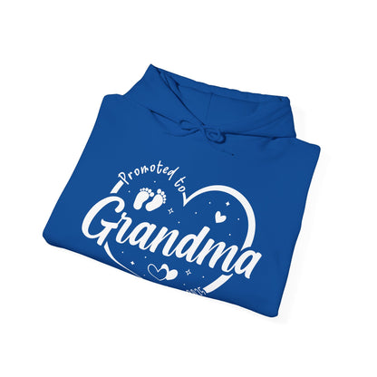Promoted to Grandma Est 2025 Soon to be Grandma Mothers Day Hoodie