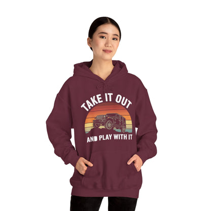 Catch Some Rays Vintage Retro Take It Out And Play Hoodie