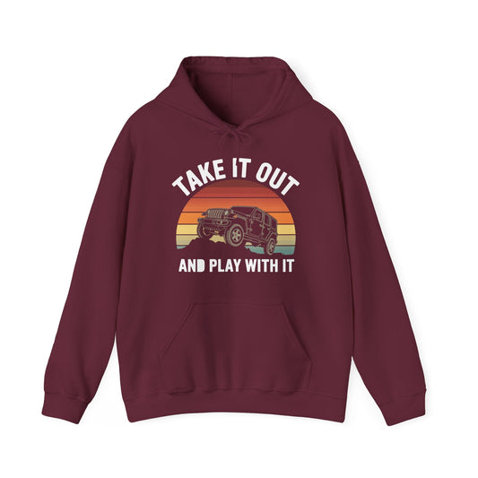 Catch Some Rays Vintage Retro Take It Out And Play Hoodie