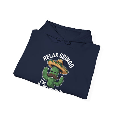 Funny Relax Gringo Im Legal Cinco De Mayo Mexican Immigrant Hoodie