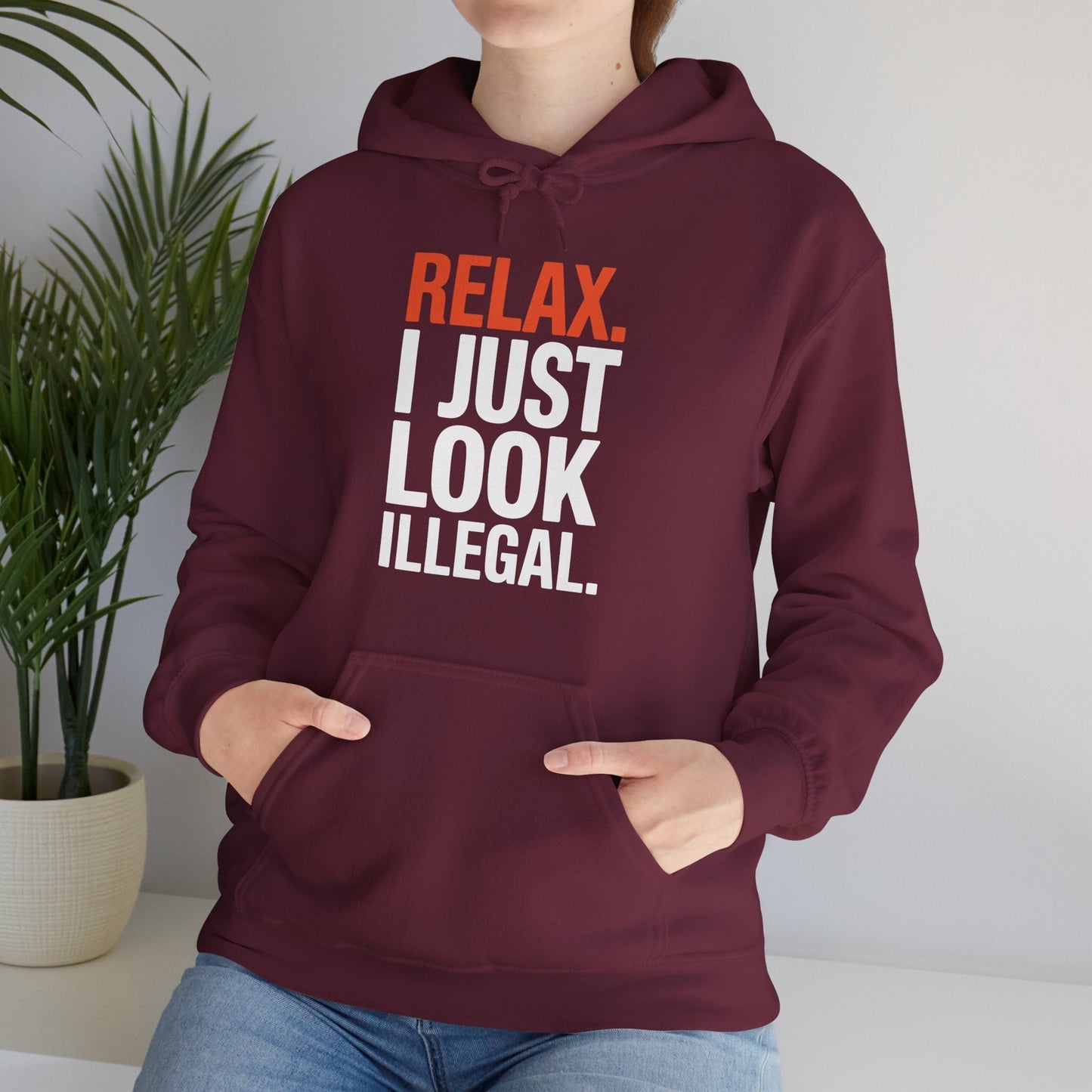 Funny Relax, I Just Look Illegal Sarcastic Hoodie