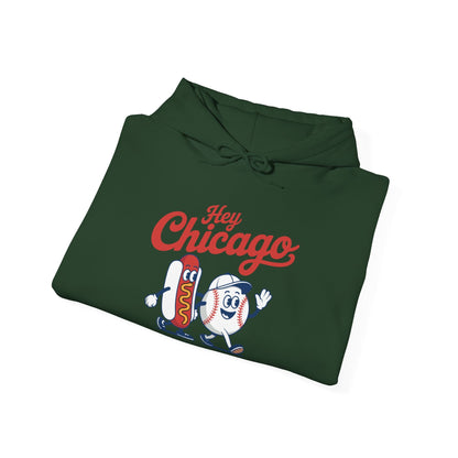 Hey Chicago Whadya Say Baseball and Hot Dog 4th of July Men Women Hoodie