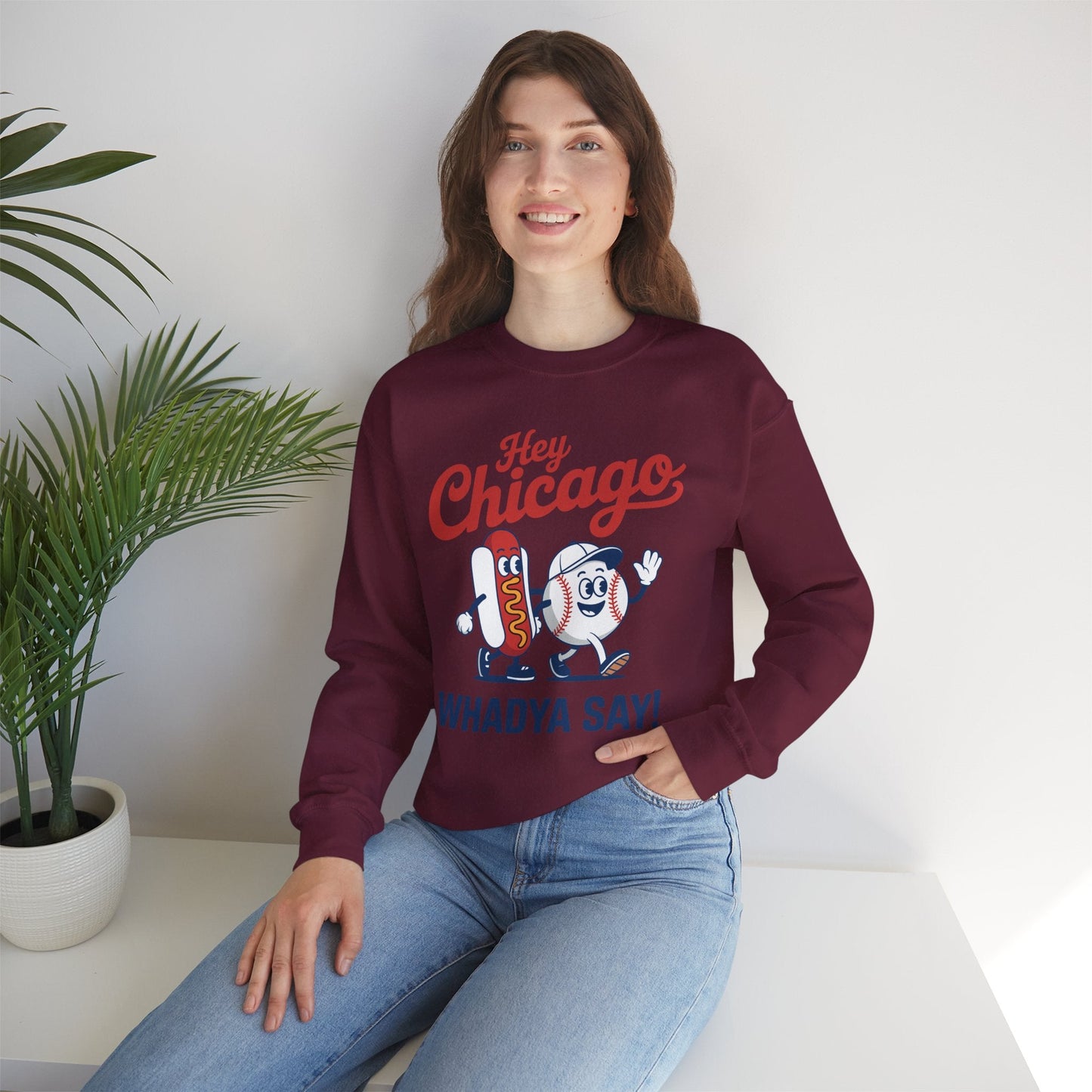 Hey Chicago Whadya Say Baseball and Hot Dog 4th of July Men Women Sweatshirt