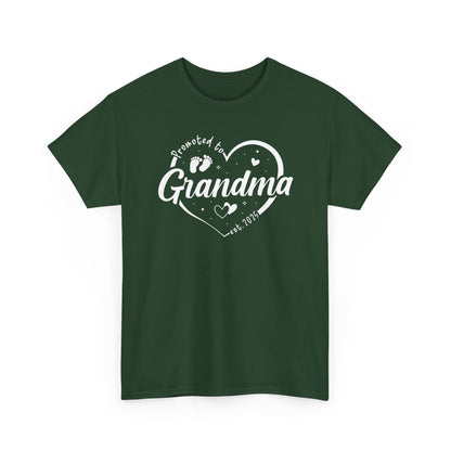 Promoted to Grandma Est 2025 Soon to be Grandma Mothers Day T-Shirt