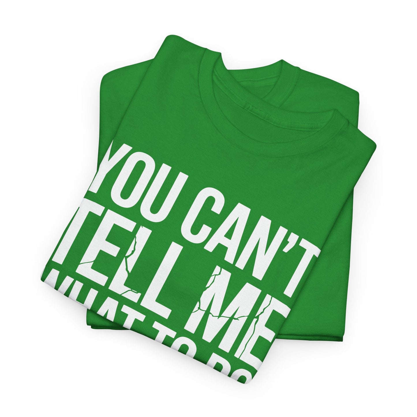 You can't tell me what to do You are not my daughter Vintage T-Shirt