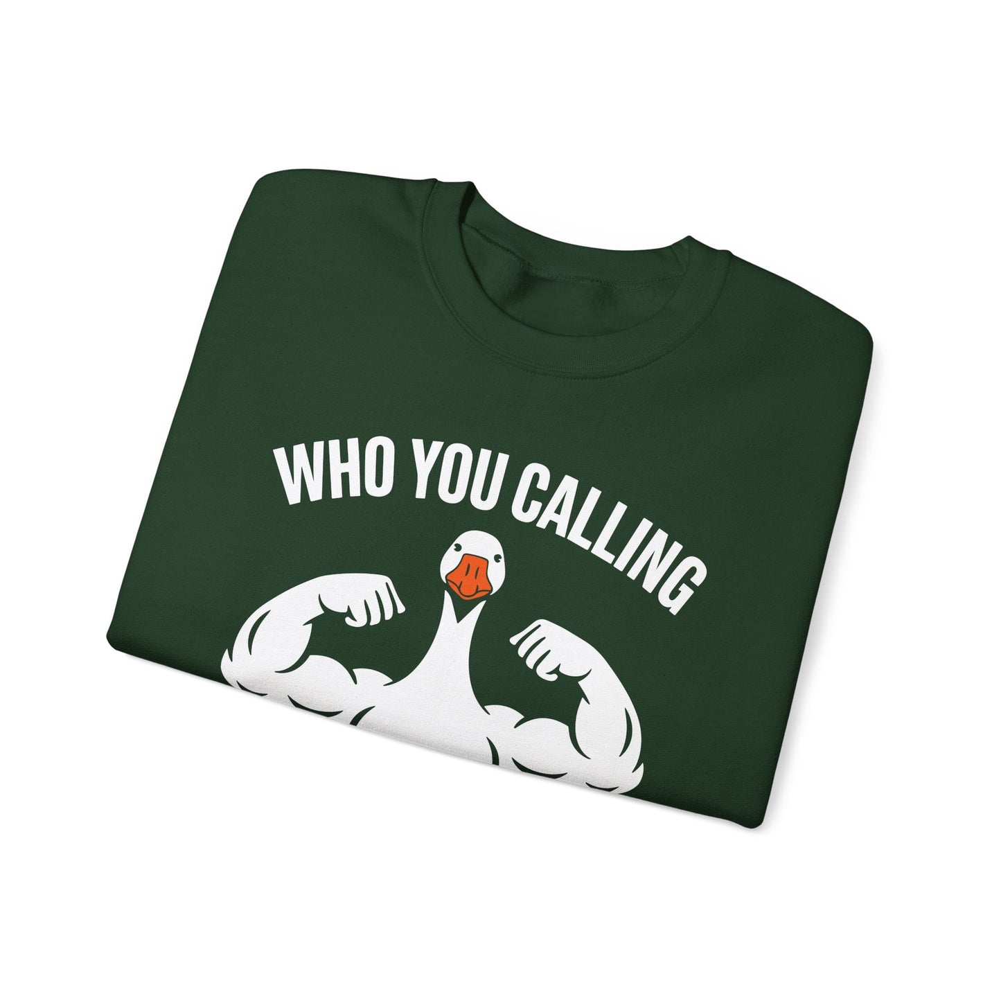 Who You Calling Silly Goose Funny Gym Meme Sweatshirt