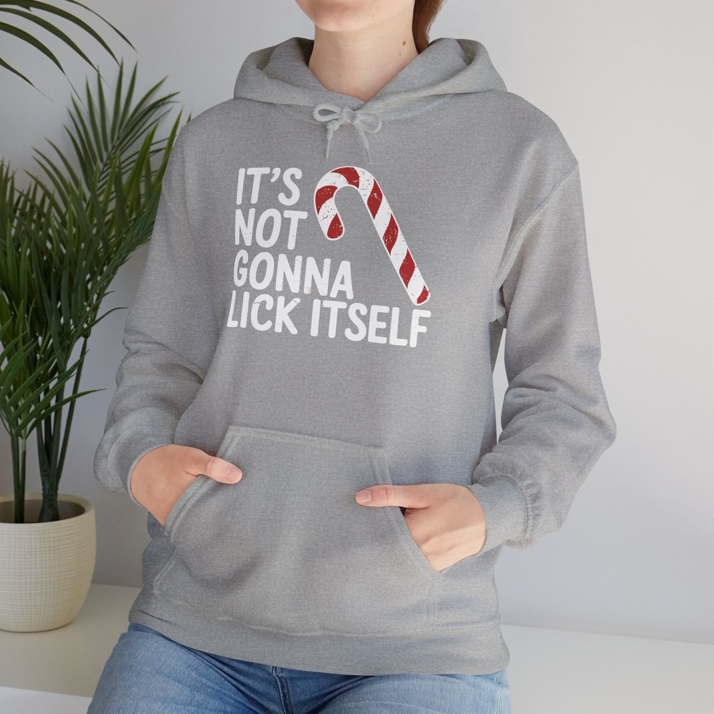 Funny Candy Cane Lick Itself Adult Christmas in July Gift Hoodie