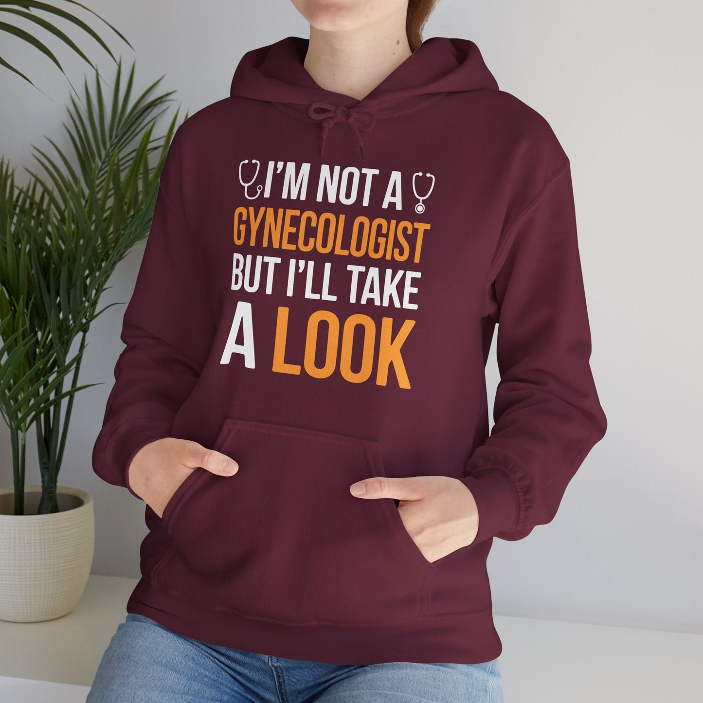 I'm Not A Gynecologist But I'll Take A Look Adult Humor Hoodie