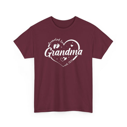 Promoted to Grandma Est 2025 Soon to be Grandma Mothers Day T-Shirt