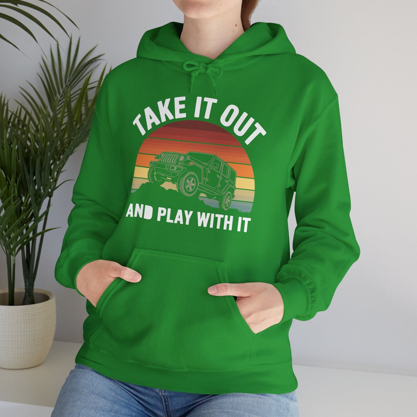 Catch Some Rays Vintage Retro Take It Out And Play Hoodie