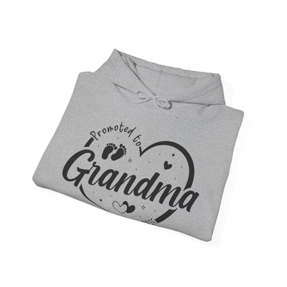 Promoted to Grandma Est 2025 Soon to be Grandma Mothers Day Hoodie