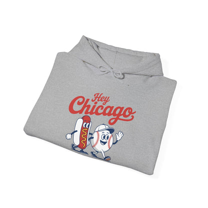 Hey Chicago Whadya Say Baseball and Hot Dog 4th of July Men Women Hoodie