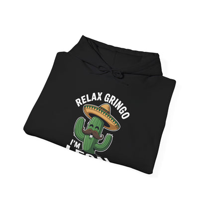 Funny Relax Gringo Im Legal Cinco De Mayo Mexican Immigrant Hoodie