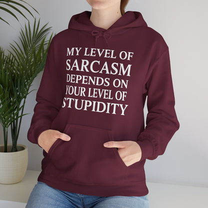 Funny Sarcastic Humor My Level of Sarcasm Sarcastic Quote Hoodie
