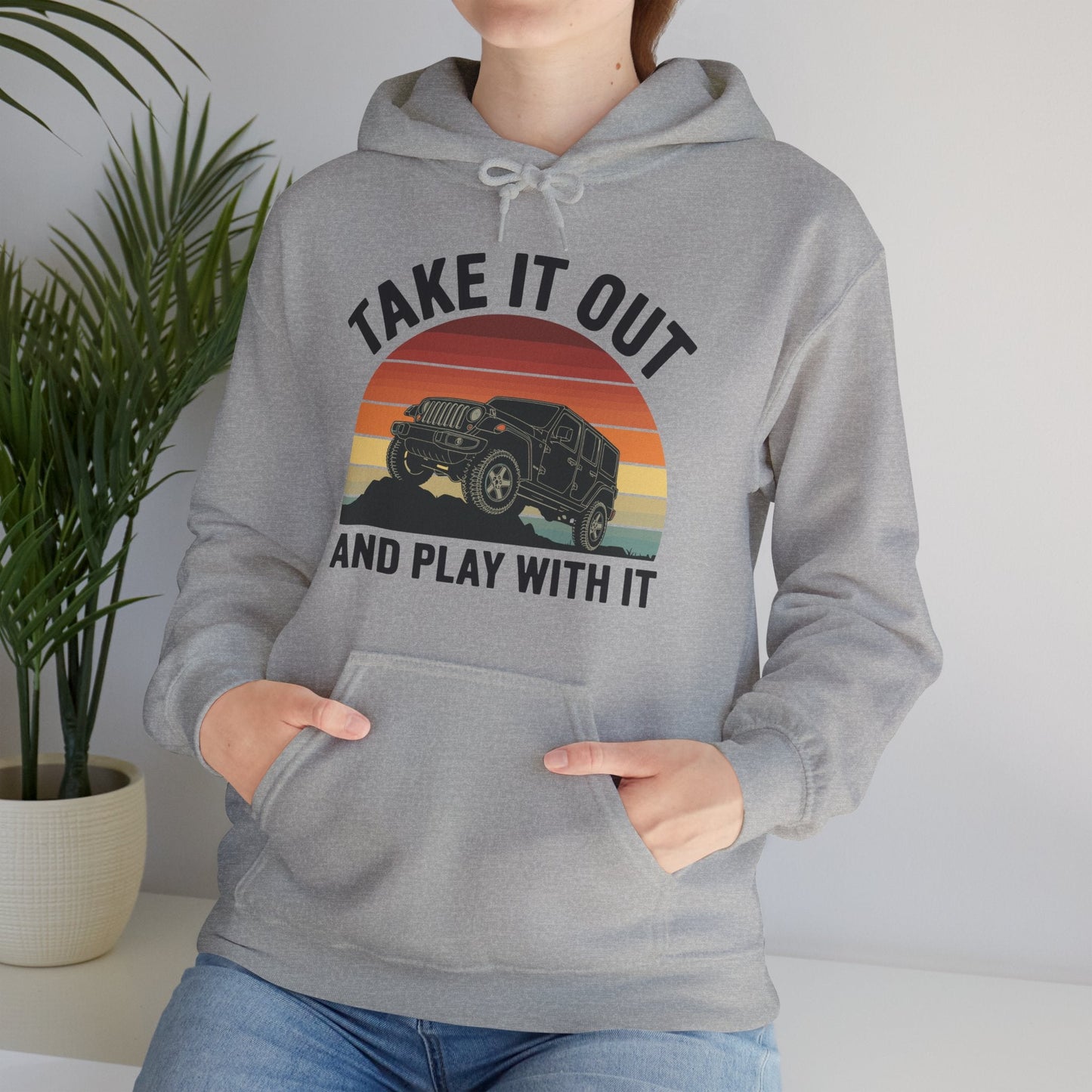 Catch Some Rays Vintage Retro Take It Out And Play Hoodie