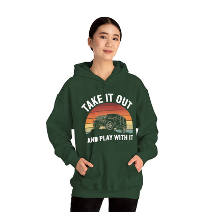 Catch Some Rays Vintage Retro Take It Out And Play Hoodie