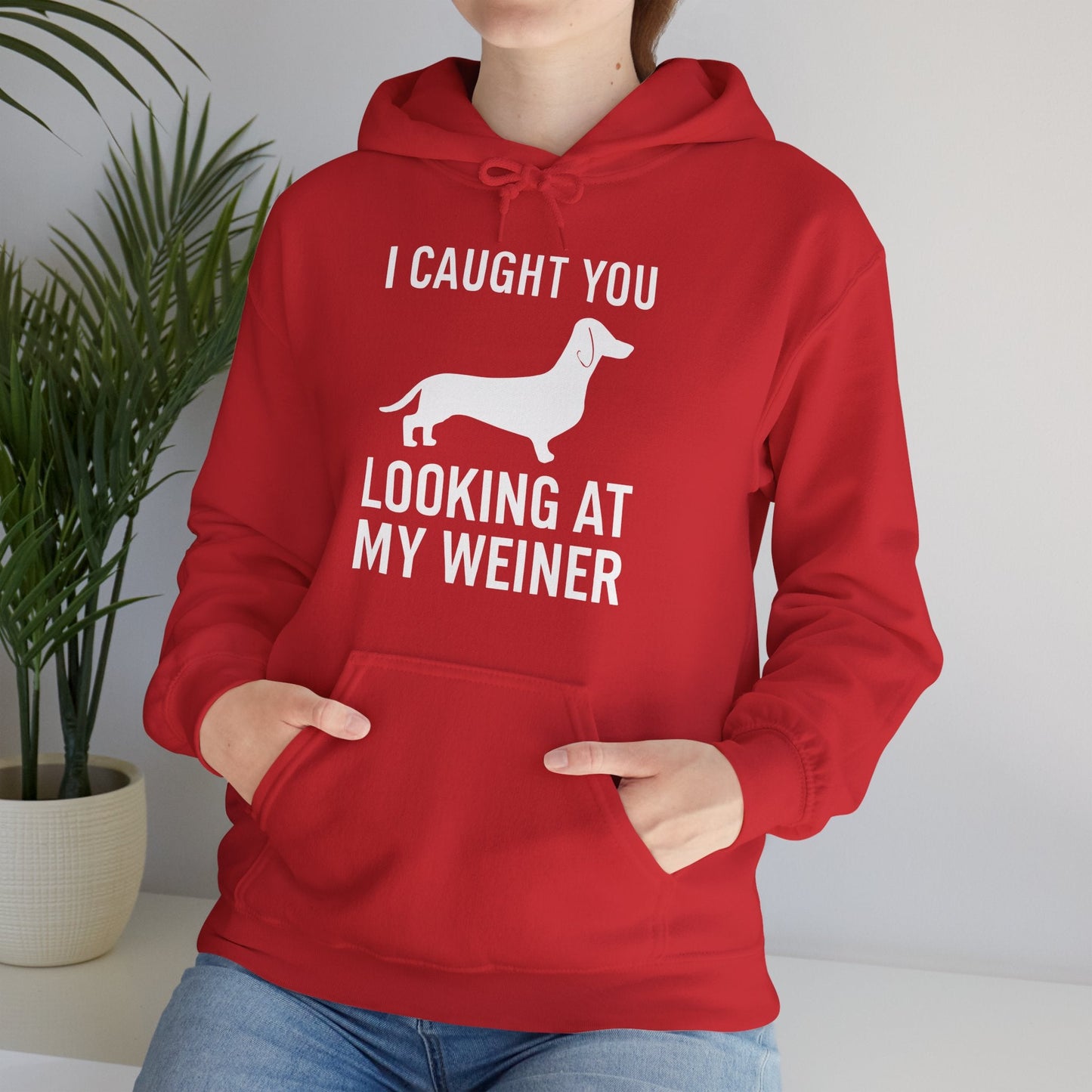 Wiener Dog T Shirt Dachshunds Weiners Hounds Pet Men Women Hoodie