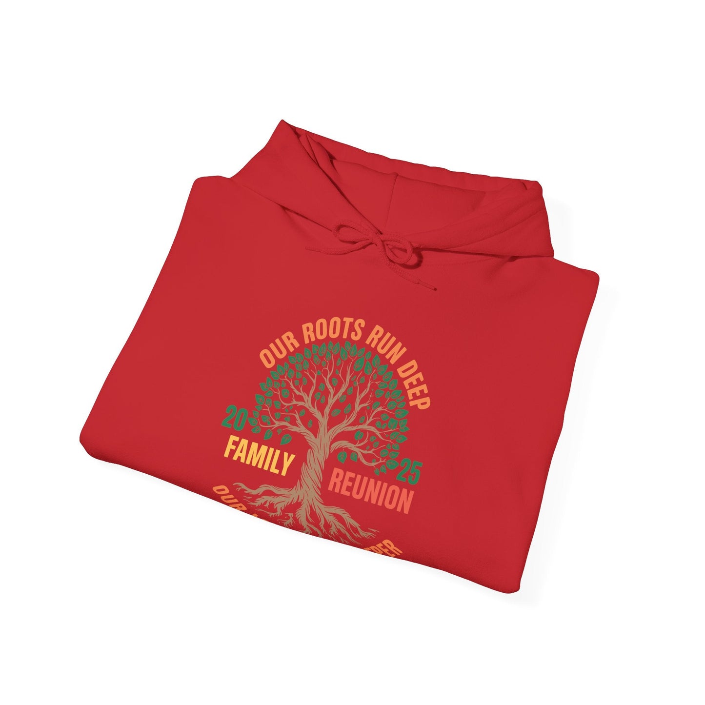 Retro Family Reunion Party 2025 Hoodie