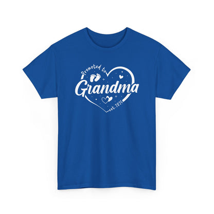Promoted to Grandma Est 2025 Soon to be Grandma Mothers Day T-Shirt
