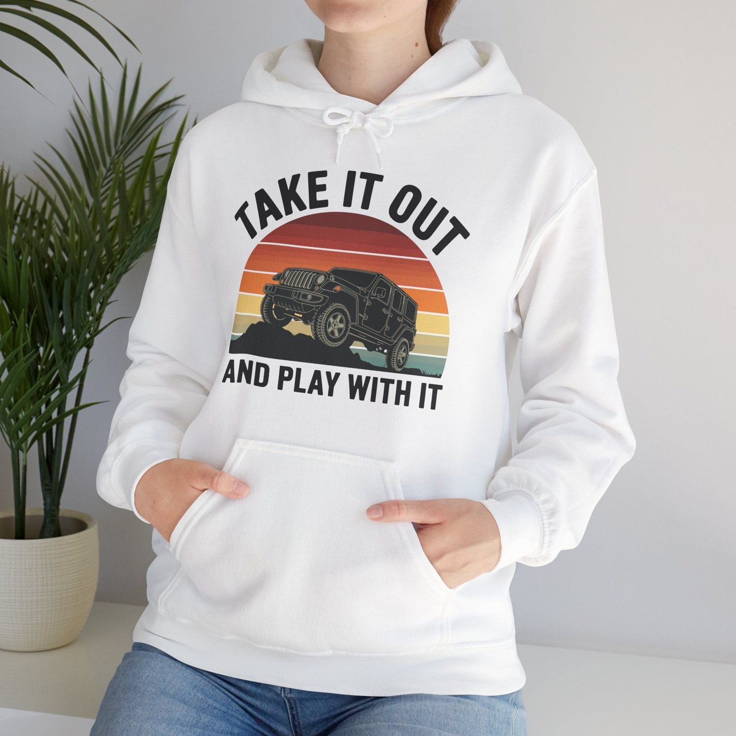 Catch Some Rays Vintage Retro Take It Out And Play Hoodie