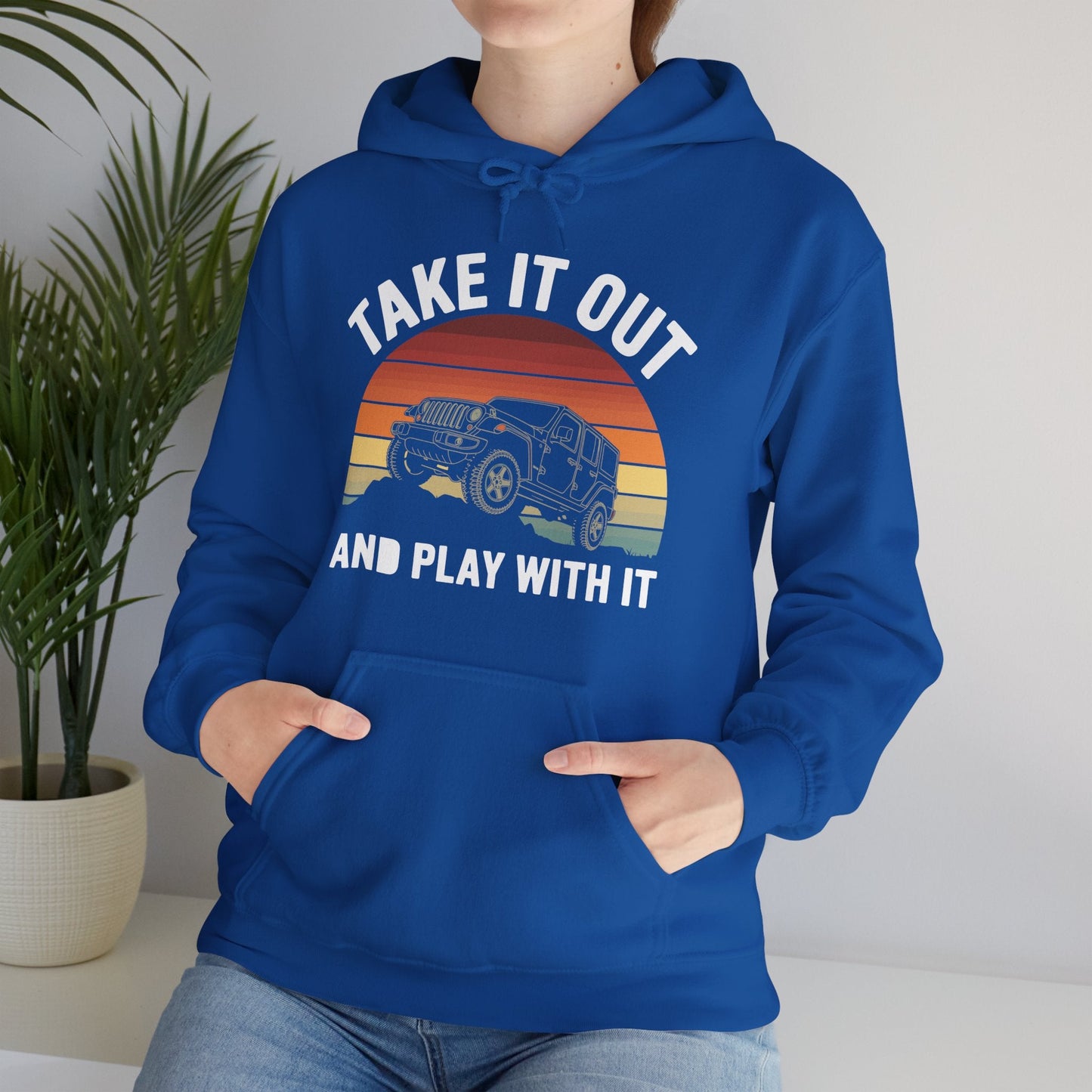 Catch Some Rays Vintage Retro Take It Out And Play Hoodie