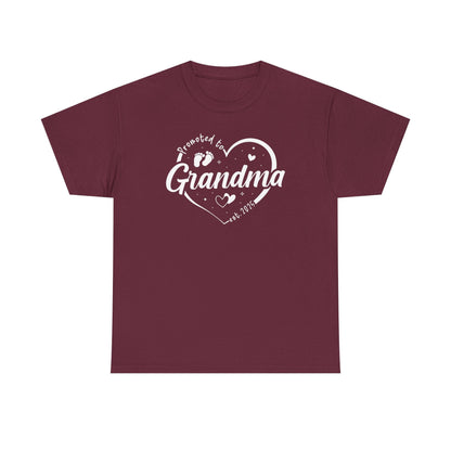 Promoted to Grandma Est 2025 Soon to be Grandma Mothers Day T-Shirt