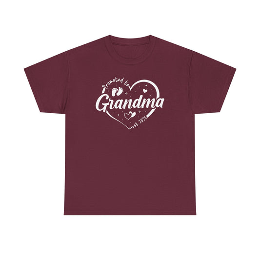 Promoted to Grandma Est 2025 Soon to be Grandma Mothers Day T-Shirt
