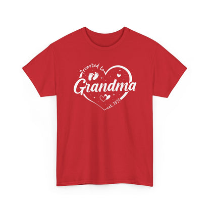 Promoted to Grandma Est 2025 Soon to be Grandma Mothers Day T-Shirt