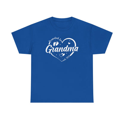Promoted to Grandma Est 2025 Soon to be Grandma Mothers Day T-Shirt