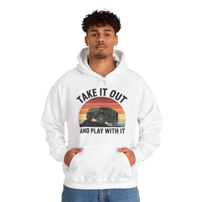 Catch Some Rays Vintage Retro Take It Out And Play Hoodie