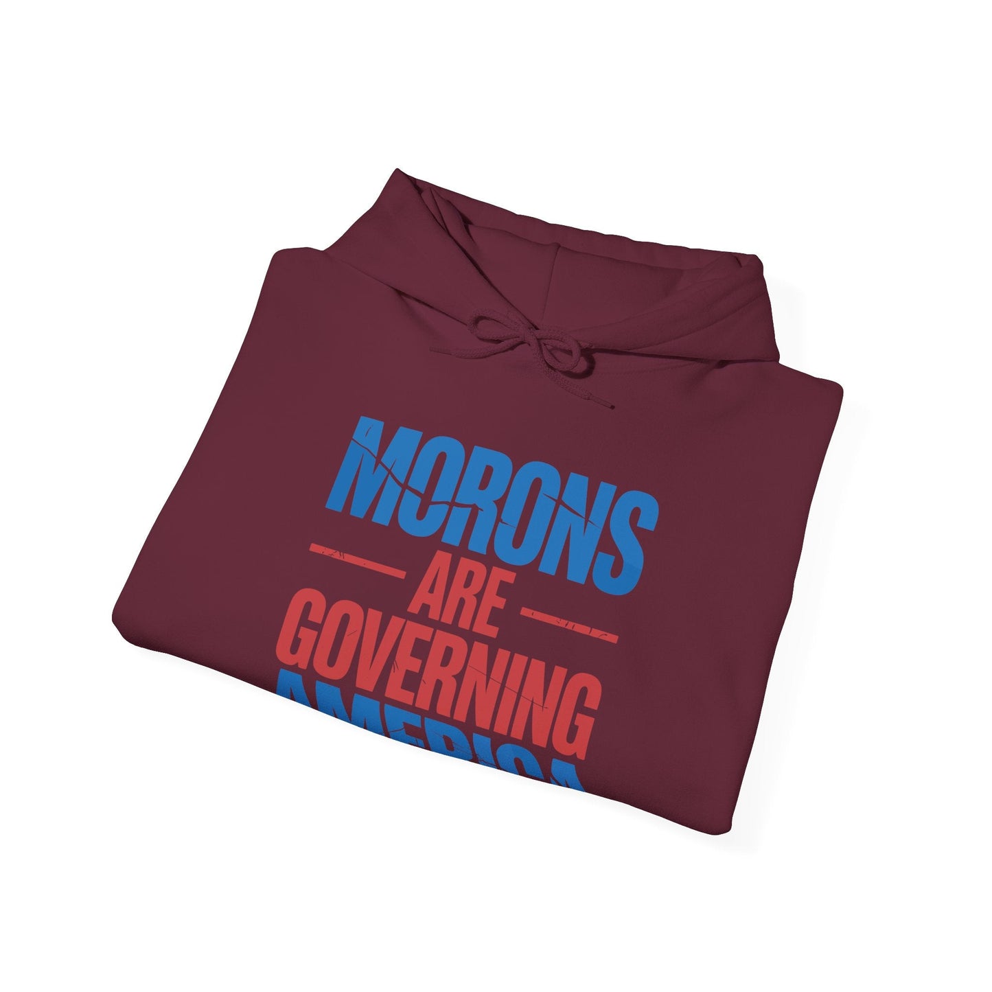 Morons Are Governing America Trump 2025 Hoodie