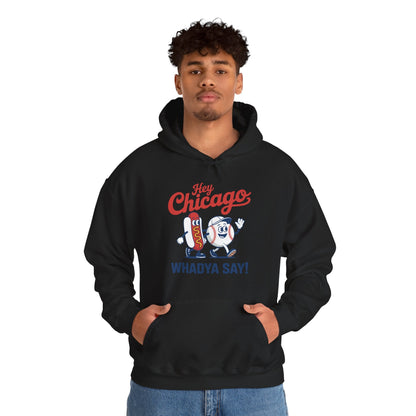 Hey Chicago Whadya Say Baseball and Hot Dog 4th of July Men Women Hoodie