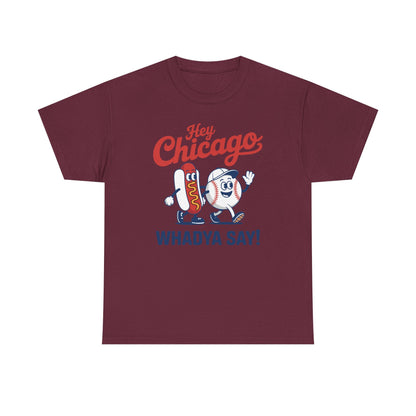 Hey Chicago Whadya Say Baseball and Hot Dog 4th of July Men Women T-Shirt