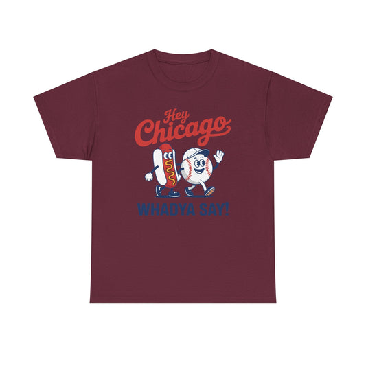 Hey Chicago Whadya Say Baseball and Hot Dog 4th of July Men Women T-Shirt