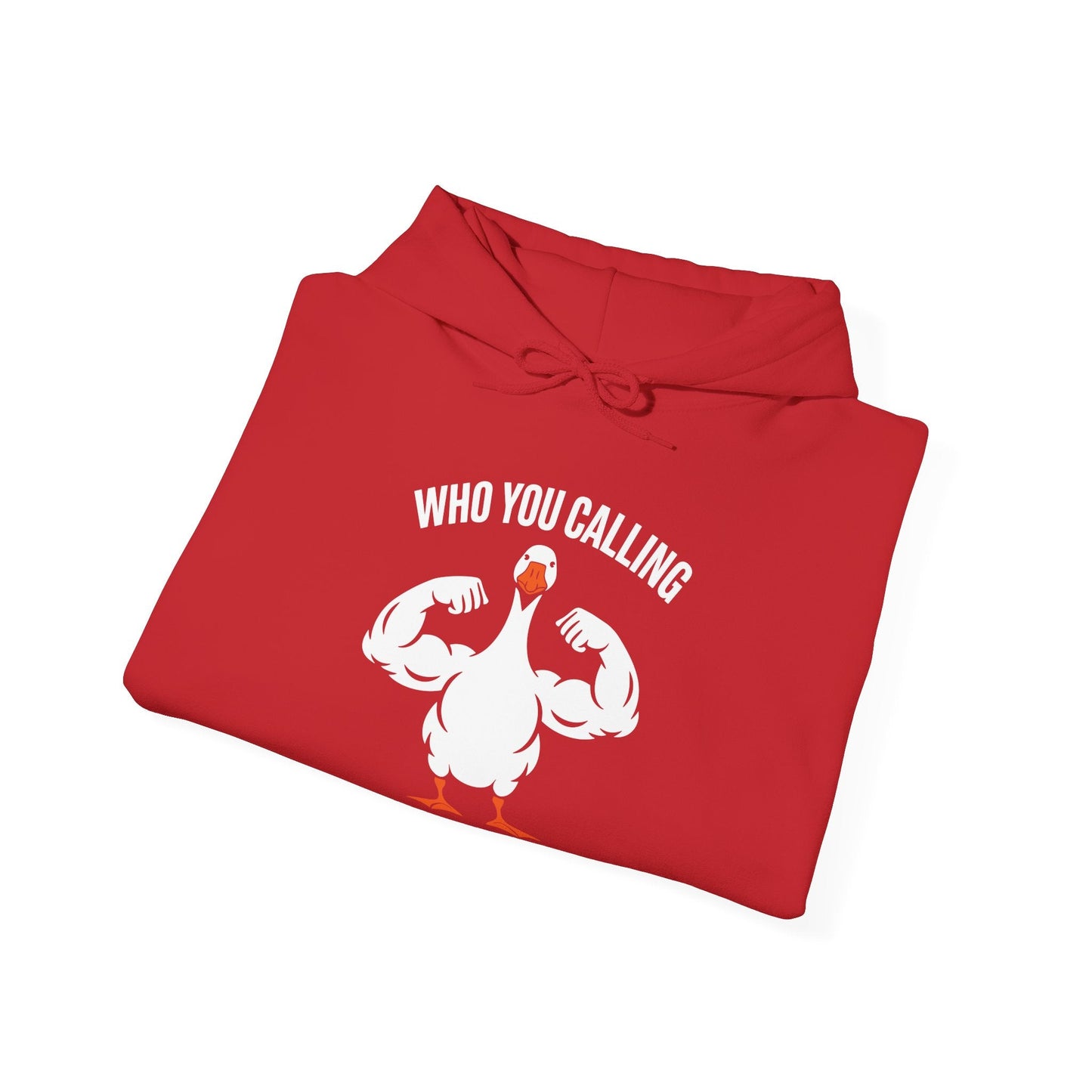 Who You Calling Silly Goose Funny Gym Meme Hoodie