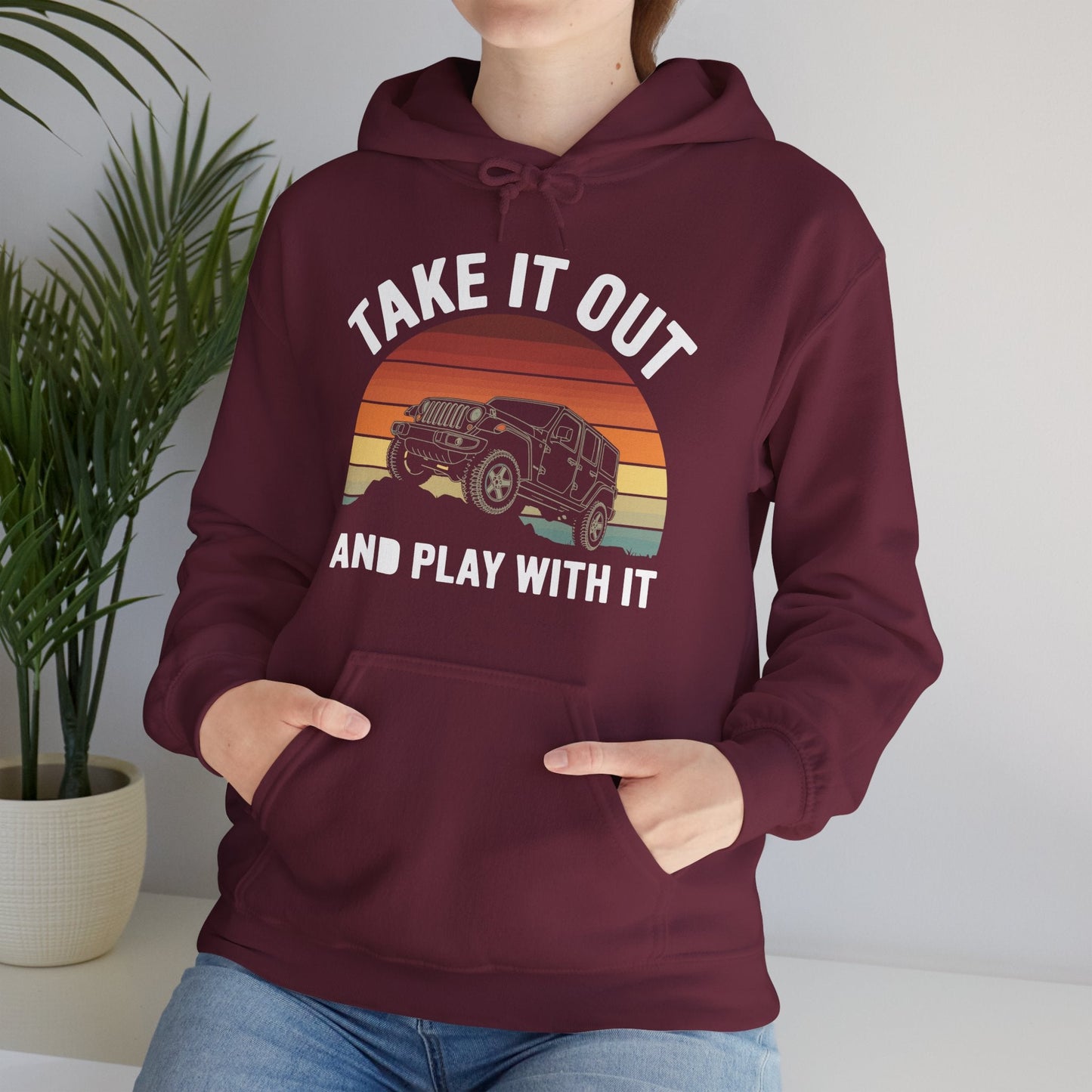 Catch Some Rays Vintage Retro Take It Out And Play Hoodie