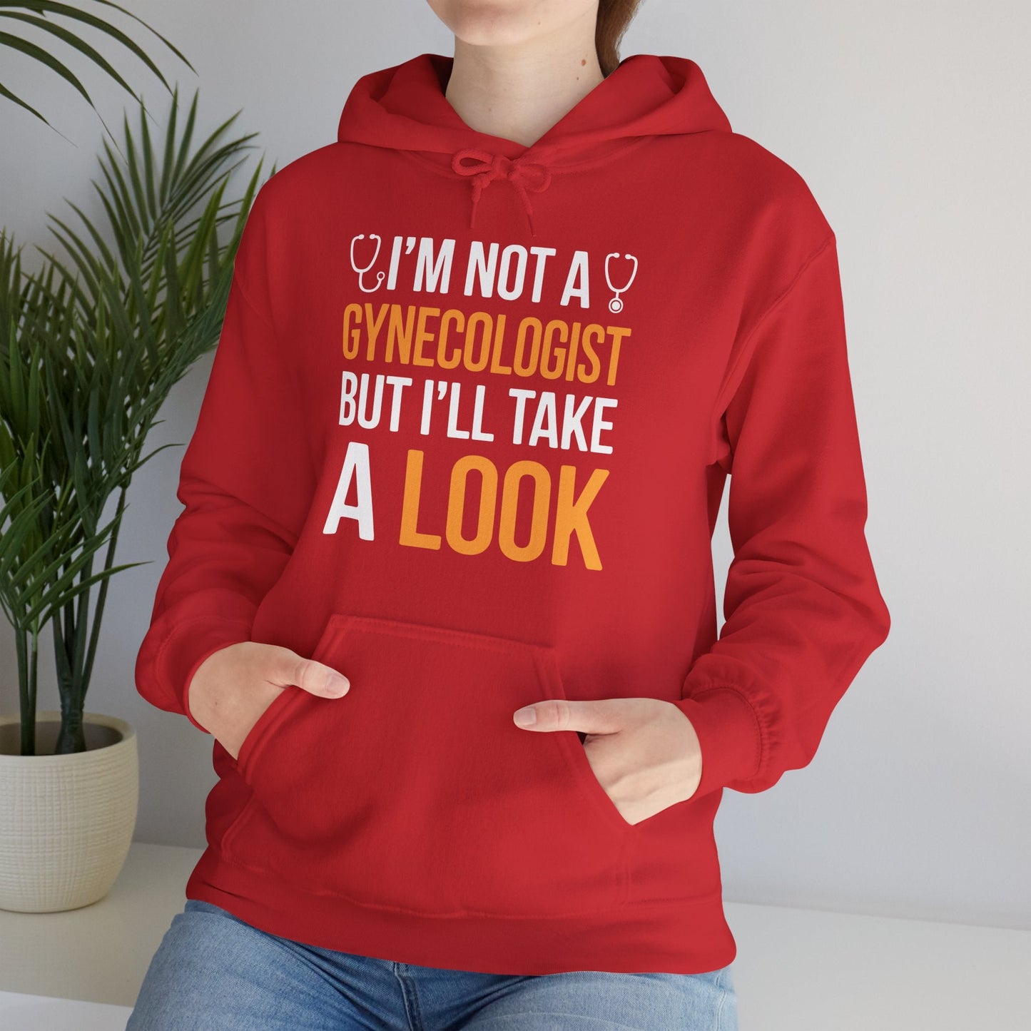 I'm Not A Gynecologist But I'll Take A Look Adult Humor Hoodie