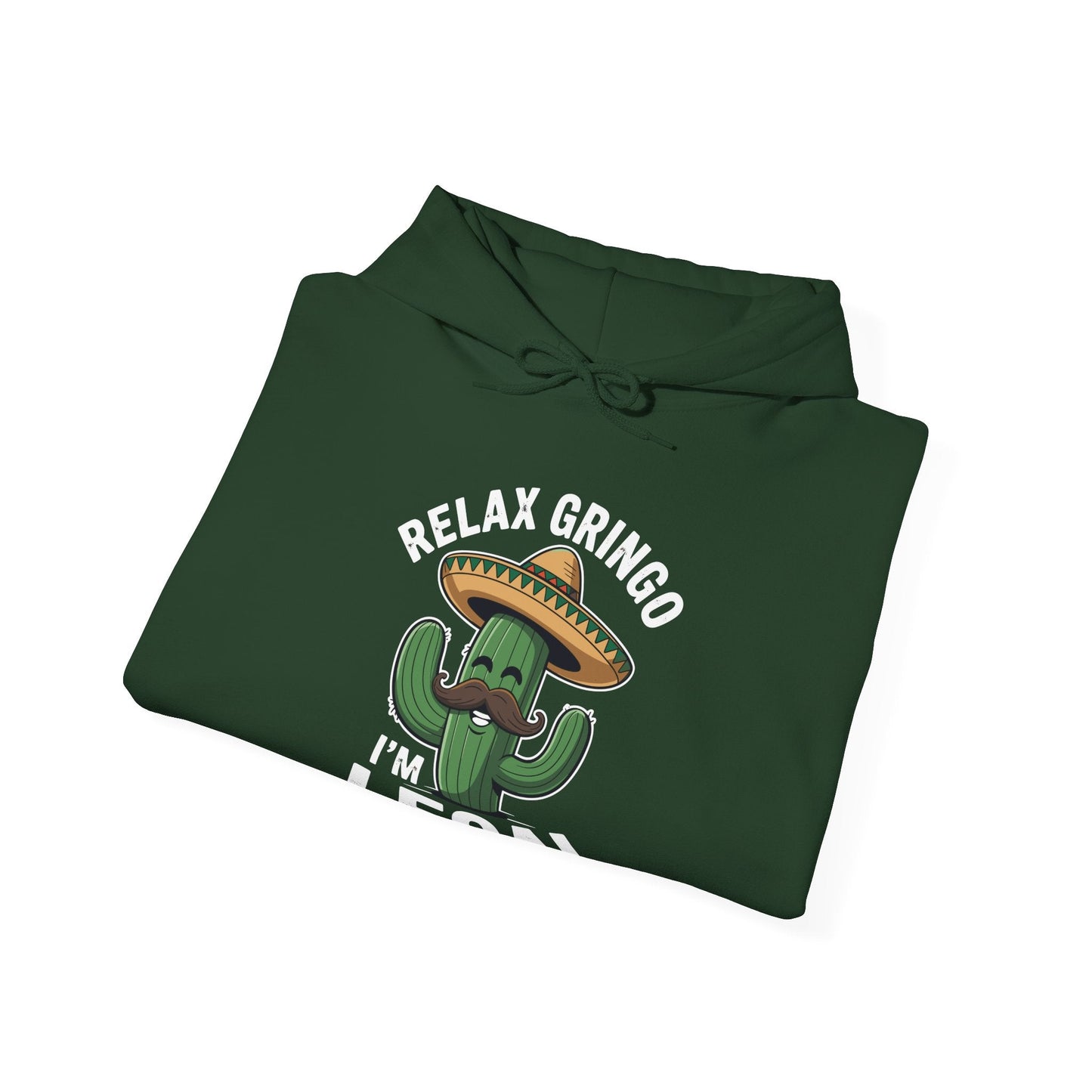 Funny Relax Gringo Im Legal Cinco De Mayo Mexican Immigrant Hoodie