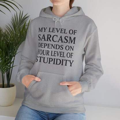 Funny Sarcastic Humor My Level of Sarcasm Sarcastic Quote Hoodie