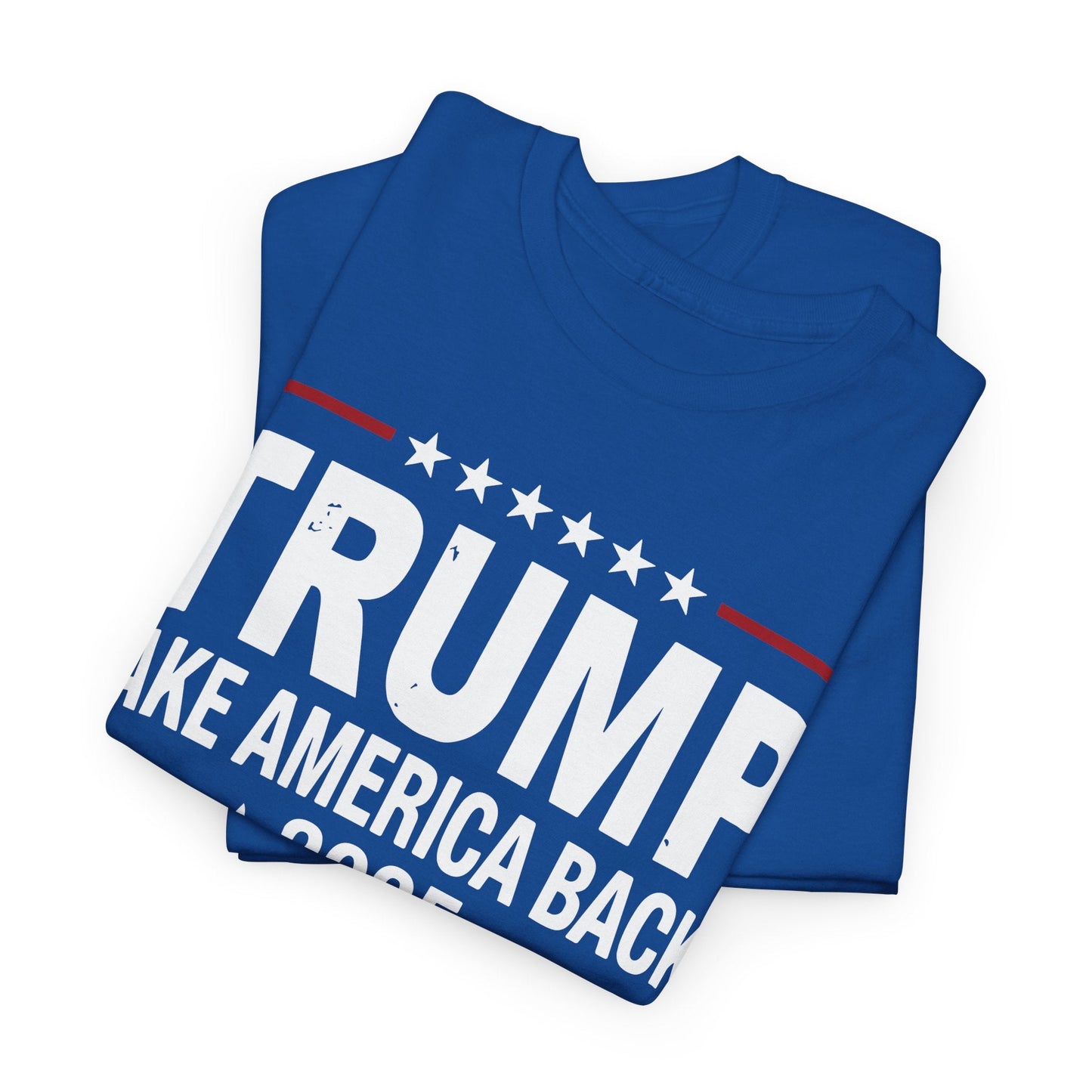 Donald Trump 2025 Take America Back Election T-Shirt