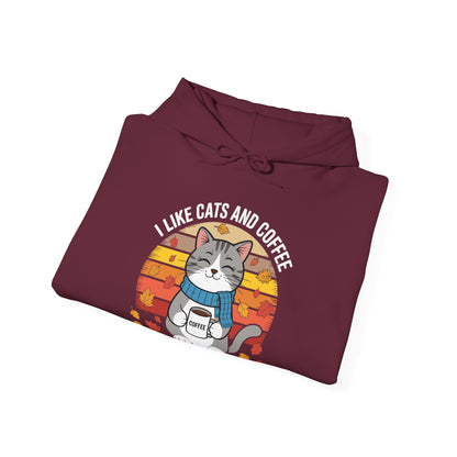 I Like Cats And Coffee And Maybe 3 People , Cats Lover Hoodie