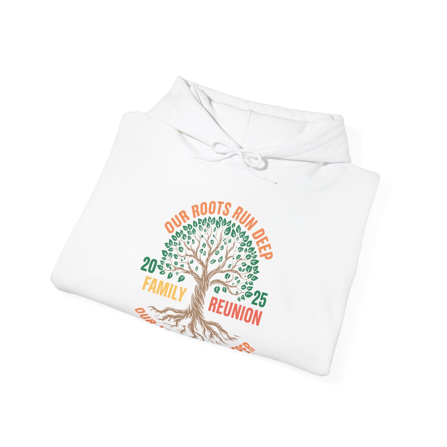 Retro Family Reunion Party 2025 Hoodie